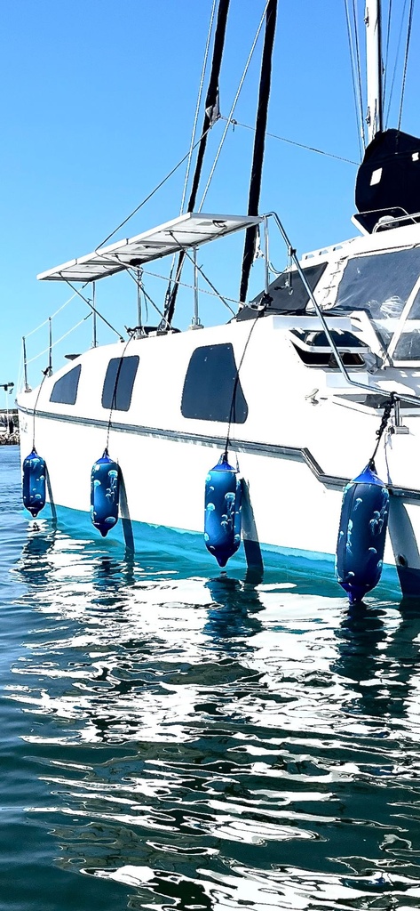 Cam Boat - Jellyfish.jpg